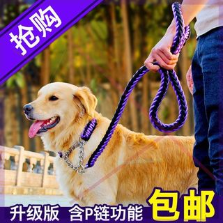 成年犬狗狗链牵引绳大型犬牵引带金毛遛狗绳项圈狗链子胸背带耐咬