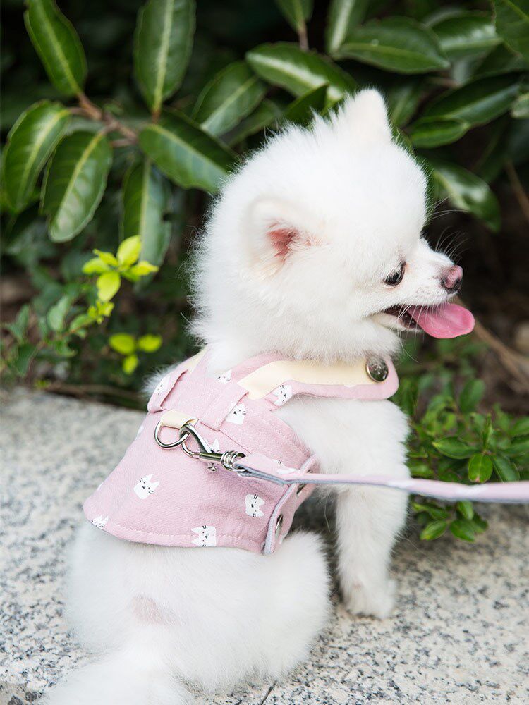 狗狗牵引绳遛狗狗绳胸背带小型中型犬背心式泰迪博美项圈小狗狗链