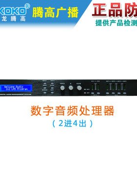 PT-2400 2600 4800 8800数字音频智能处理器音响会议系统腾高包邮