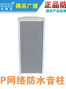NCX-20WF1 40WF1 60WF1 IP网络音柱室外防水有源音频解码终端腾高