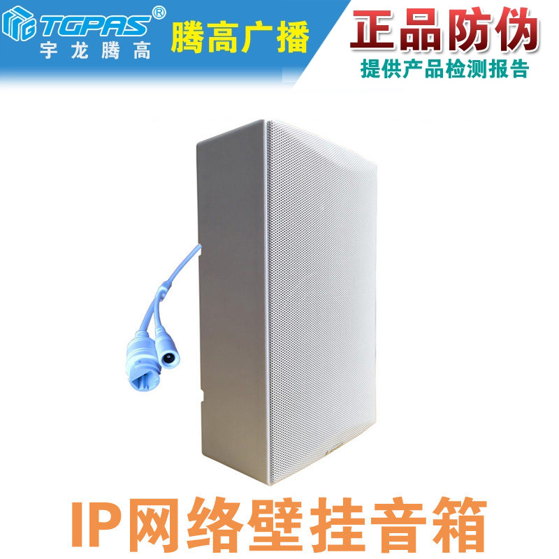 NCX-P20AII IP网络有源壁挂音箱喇叭解码终端智能数字广播腾高