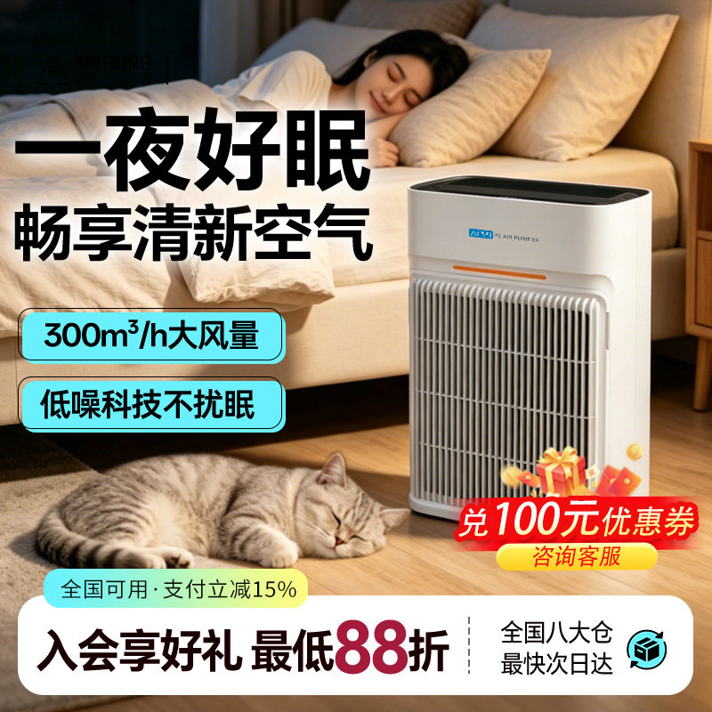 空气堡（AIRBURG）空气净化器除甲醛家用卧室母婴除异味P2净化机