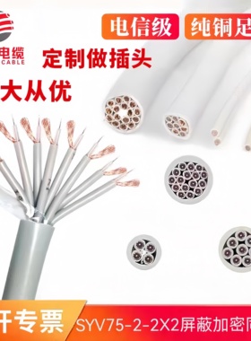 SYV75-2-2*2 75-2-1*2线屏蔽加密2M同轴线2芯2兆线光端机专用线