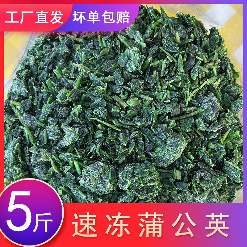 速冻蒲公英碎新鲜冷冻婆婆丁
