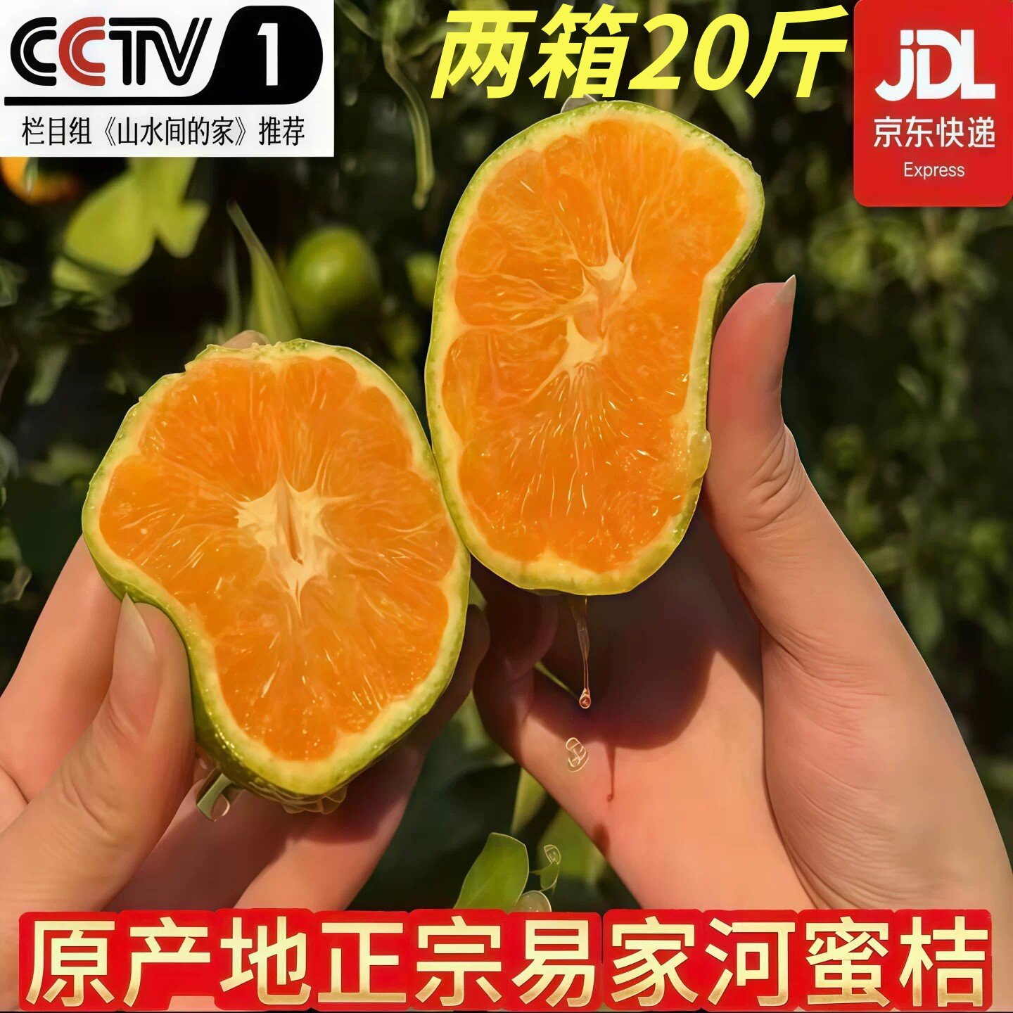 庐山西海易家河蜜桔子普早江西无核当季老人水果净重19斤非涌泉橘