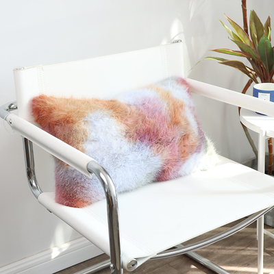 羊逸彩色时尚抱枕靠垫椅子腰靠
