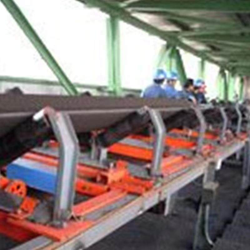 加固外壳皮带秤ICS系列电子皮带秤抗静电抗干扰电子皮带秤,五金/工具,皮带秤,淘宝优惠券,粉丝福利购,淘宝优惠卷