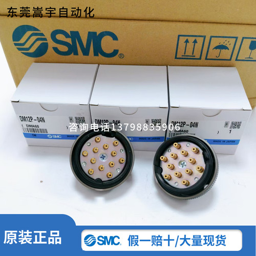 SMC日本DM12S/P-04/06航空接头