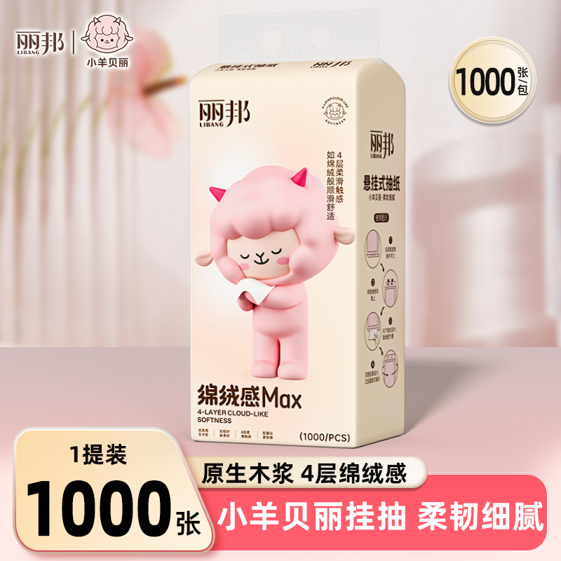 丽邦卫生纸抽纸悬挂式纸巾纸抽实惠