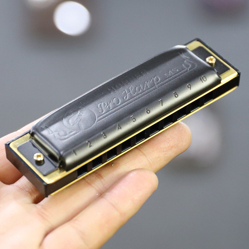 德国和莱hohner pro harp十10孔布鲁斯口琴初学者入门专业蓝调