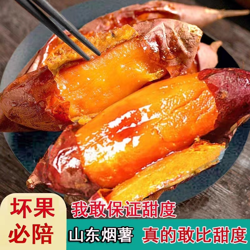 烟薯25蜜薯蜜薯沙地流油