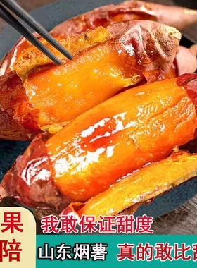 山东烟薯25号蜜薯糖心红薯红心流油蜜薯番薯农家沙地烟薯25号地瓜