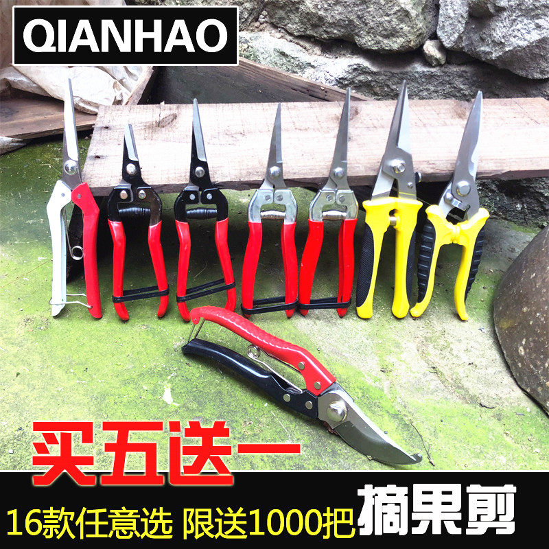 葡萄采果剪 柑橘剪桔子蔬果剪 修枝摘果剪果园果树剪采摘翘头剪刀