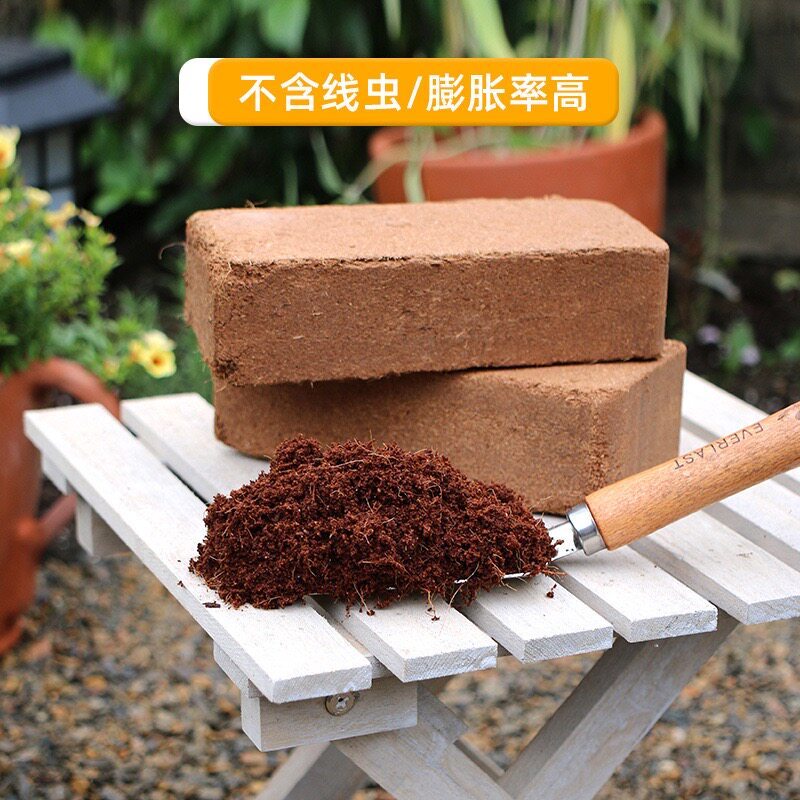 进口天然椰砖椰土种菜冬眠大块