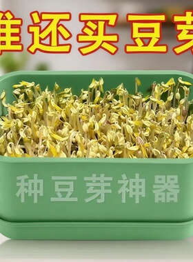 四季吃新鲜豆芽全自动豆芽发芽神器食品级大号水培育苗托盘专用盆