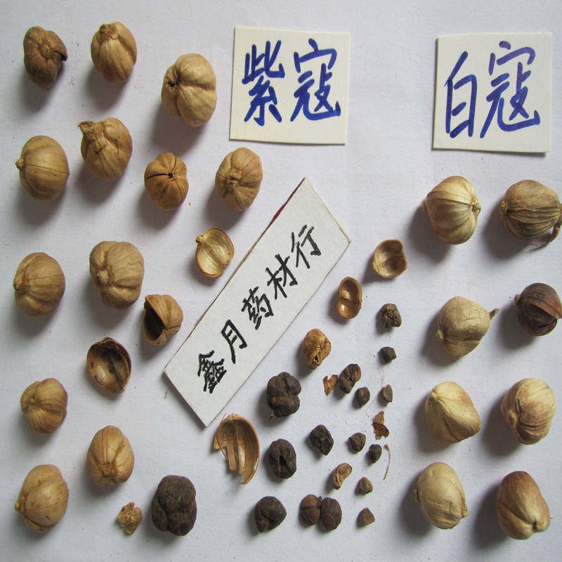 紫寇紫叩子寇籽蔻老叩老寇十开蔻紫豆蔻紫豆叩紫扣自蔻250克180元