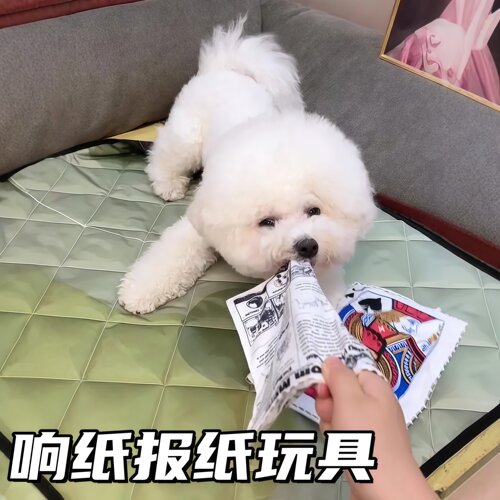 宠物狗狗发声玩具响纸报纸耐咬