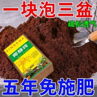 椰砖营养土椰糠土粗椰壳土壤养花通用型大块种菜专用花土脱盐椰砖