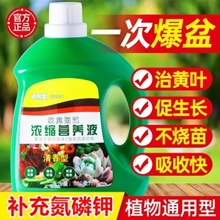 营养液植物通用型盆栽水培富贵竹绿萝发财树营养液月季 花专用肥料