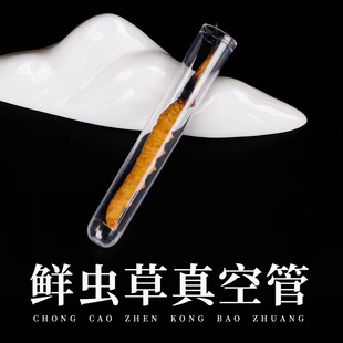 新鲜虫草真空管子细管子冬虫夏草防断独立塑料分装瓶虫草专用内瓶