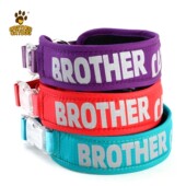 狗狗项圈宠物用品 小型中型大型犬可调节狗套脖反光宠物猫咪项圈