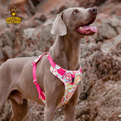 狗胸背带宠物背心式 胸背带 牵引绳大型犬粉色印花背带中型犬夏季