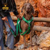 纯棉透气狗狗胸背带防爆冲不勒胸背带大型犬柯基金毛防挣脱牵引