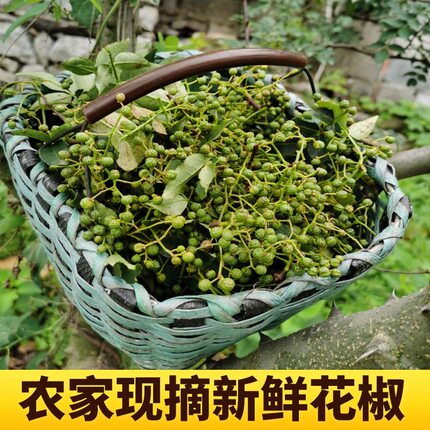 山东农家现摘鲜花椒当天采摘发货不真空冷冻大红袍鲜花椒非麻椒