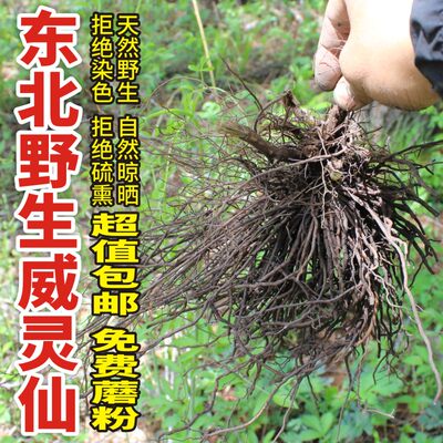 野生威灵仙中草药材500g无熏硫