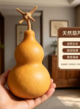 天然生长葫芦摆件门对门玄关挂饰