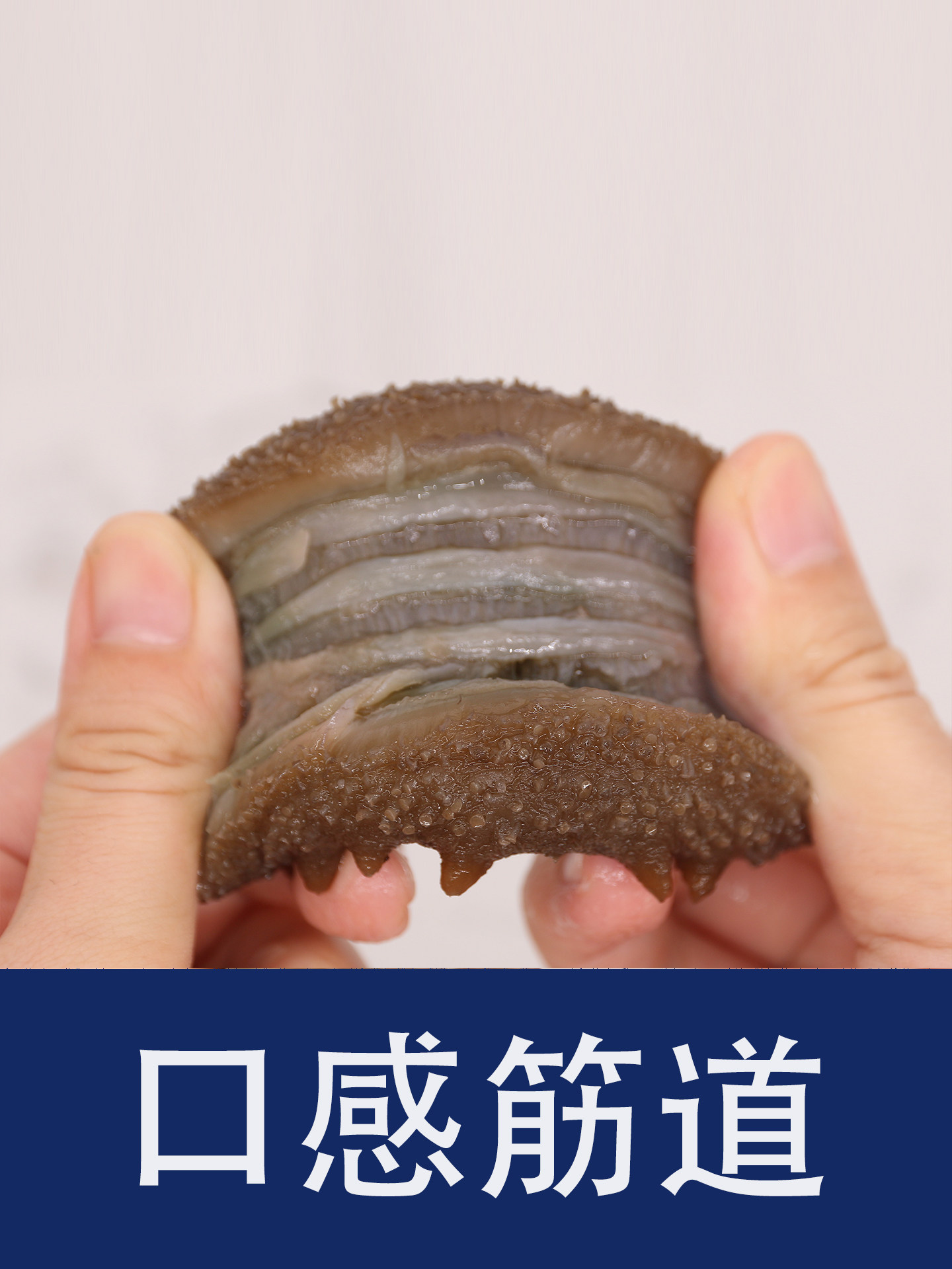 一二参野生半干海参500g六年参龄盐渍深海辽刺参非淡干即食泡发高
