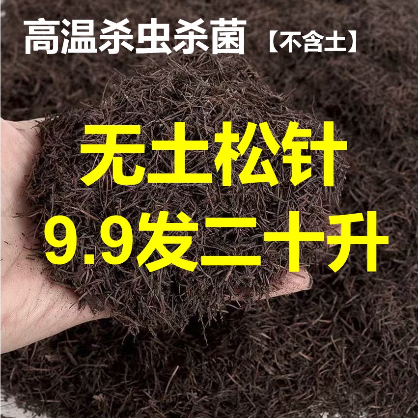 松针无土腐熟发酵高温杀菌月季杜鹃蓝莓草莓多肉君子兰茶花专用土