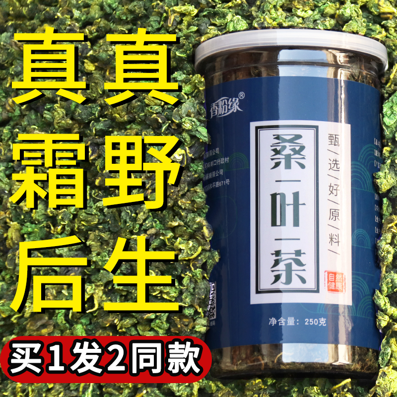 桑叶茶霜后桑叶正品野生新鲜桑叶干桑葚树叶2025搭蒲公英茶新货