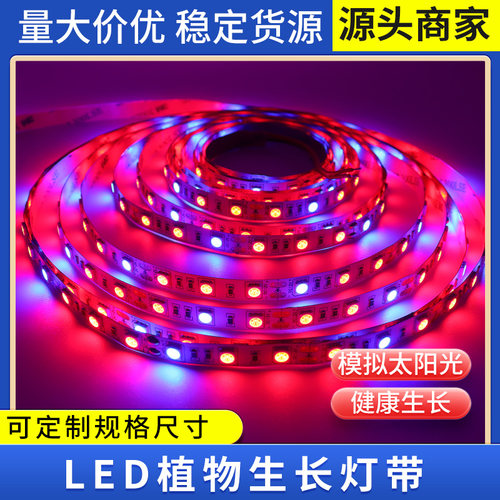 12V植物补光LED灯条5050植物生长60LED灯带鱼缸蔬菜肉类花卉灯条