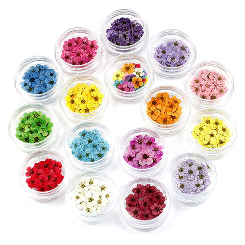 diy小水仙小梅花滴胶脸妆干花