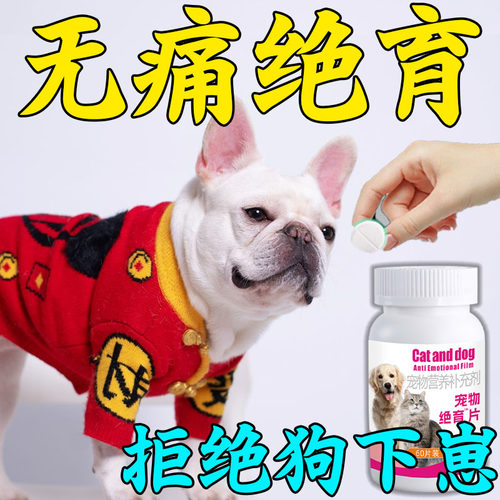 【不开刀】狗狗绝育 永久性犬用绝育药狗用品大全防止狗发情乱爬