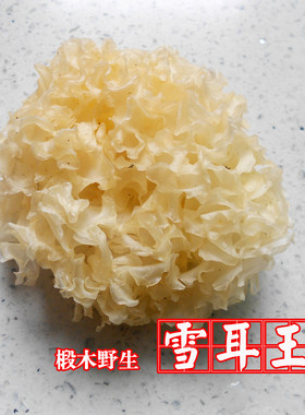 野生通江银耳白木耳椴木生长糯稠