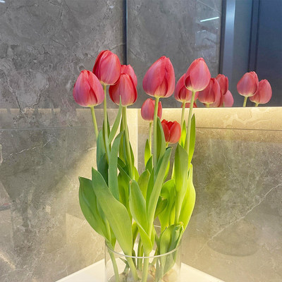 Imported tulip bulbs potted for year-round planting