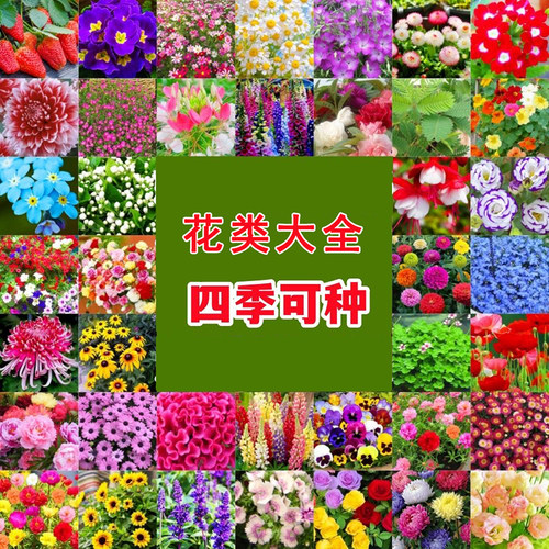 All kinds of flower and grass seeds can beplanted throughout