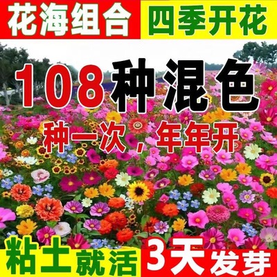 Supply various flower seeds for planting in all seasons