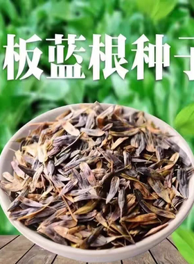 Wholesale Banlangen medicinal herb seeds for all seasons