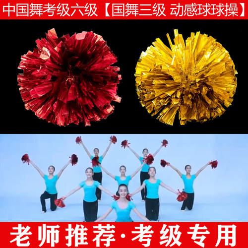 文旅部人才中心中国舞艺术考级第三级动感球球操舞蹈道具手球一对