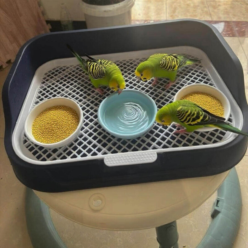 鹦鹉专用食盒喂食器餐垫超大空间漏便防溅洒网格餐盘多鸟狗厕所