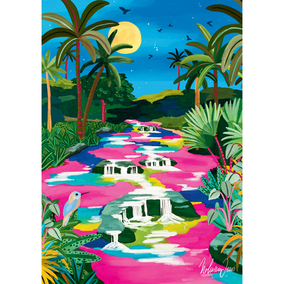 现货 法国 Pieces Peace 进口拼图 哥伦比亚 卡诺水晶河 500片