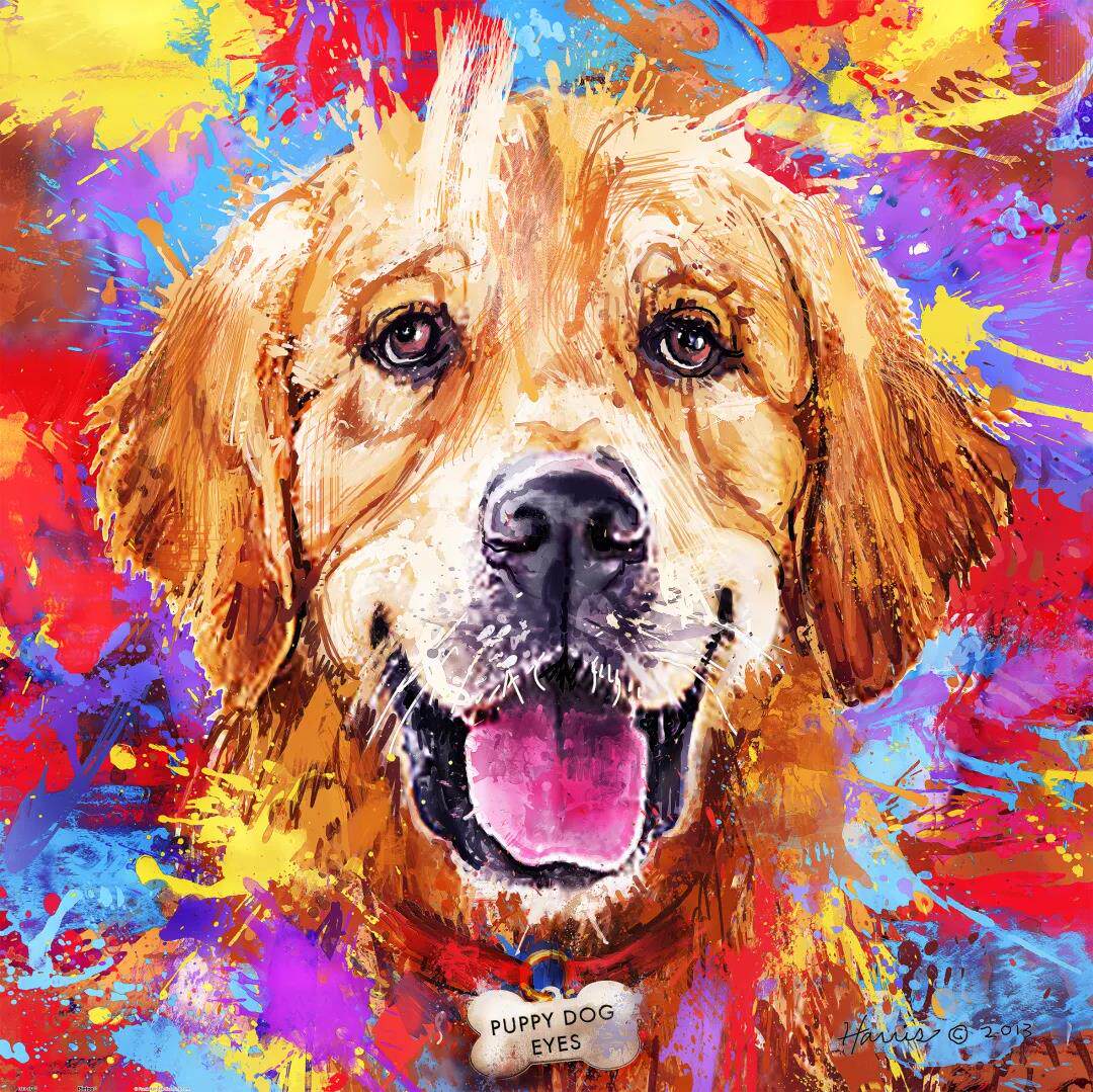 绝版现货 3d-jp 塑料拼图 frank harris 狗 黄金猎犬 1600片 3djp