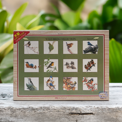 绝版现货 日本Beverly进口拼图 手绘 野生鸟类收藏 木质 1000片