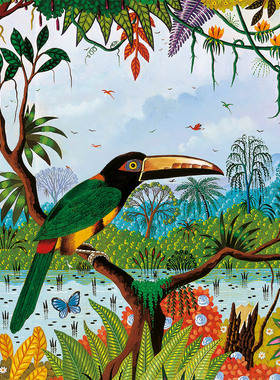 现货 法国 Pieces and Peace 进口小众拼图 领簇舌巨嘴鸟 1500片