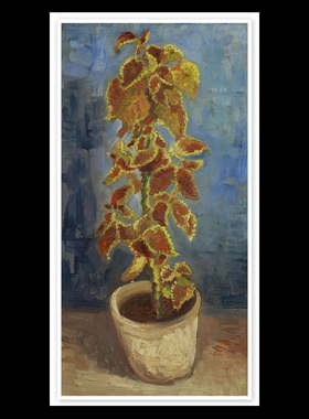 现货 意大利Mondopuzzle拼图 Van Gogh 花盆里的火焰荨麻 2000片