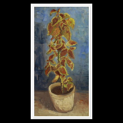 现货 意大利Mondopuzzle拼图 Van Gogh 花盆里的火焰荨麻 2000片