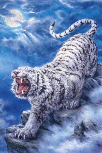 绝版白虎原井加代美拼图EPOCH